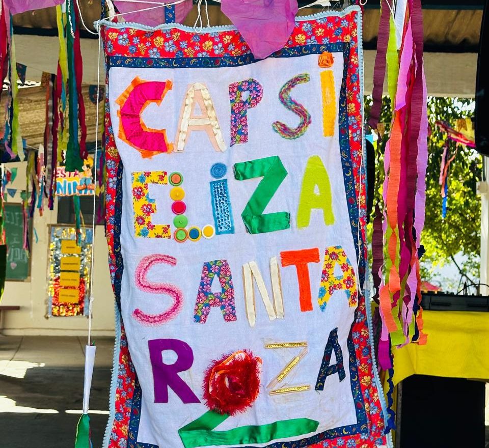 Vivências e aprendizados: o brincar e o cuidar na prática clínica do CAPSi Eliza Santa Roza